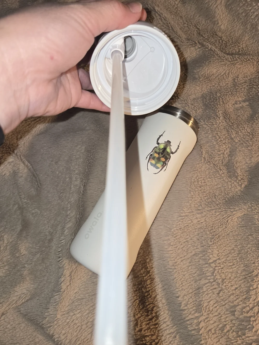 Owala White 24oz Stainless Water Bottle